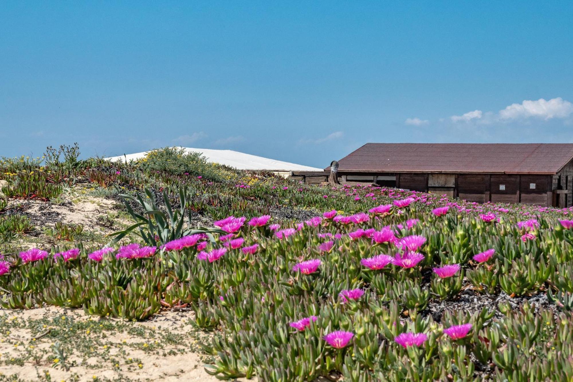 Precioso Chalet A Pie De Playa Пунта-Умбрия Экстерьер фото